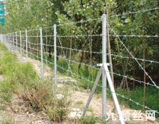 刺鐵絲護欄2.jpg