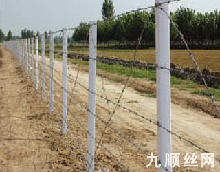 刺鐵絲護欄1.jpg